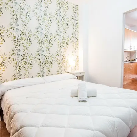Apartment Tuguest Plaza Nueva *